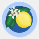 Recherche de citronnier autocollants Toute personne