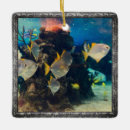 Recherche de aquariums ornements Toute personne
