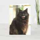 Zoek naar halloween kaarten Kat