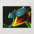 Recherche de chameleon cartes postales Animaux