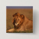 Recherche de safari jungle badges Faune
