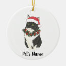 Recherche de chat de père noël Aquarelle