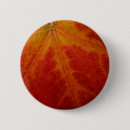 Recherche de feuille rouge badges Nature