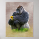 Recherche de singe gorille posters Gorilles