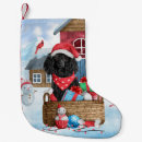 Recherche de caniche chaussette de noël Animal
