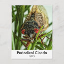 Zoek naar insecten briefkaarten Zomer