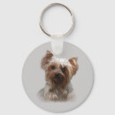 Recherche de terrier de yorkshire porteclés Yorkie