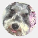 Recherche de schnauzer autocollants Animal