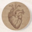 Recherche de anatomique dessous de verres Coeur