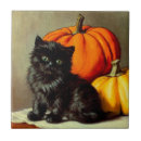Recherche de chats vintages carreaux Citrouille