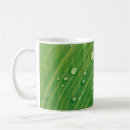 Recherche de photosynthèse tasses Nature