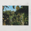 Recherche de cameroon posters Vintage