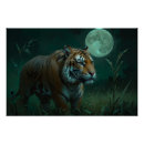 Recherche de chat du bengale posters Prédateur