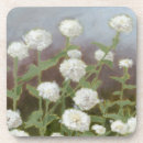 Recherche de botanique dessous de verres Fleurs