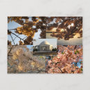 Recherche de bassin de marée vœux cartes Fleurs