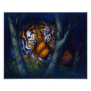 Recherche de yeux de tigre posters Dessin