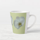 Recherche de orchidées blanches tasses Nature