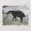 Recherche de tapis cartes postales Photographe