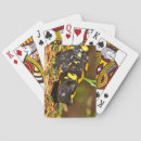 Recherche de lézard jeux de cartes Faune