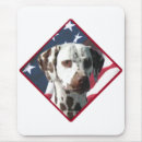 Recherche de dalmate tapis souris Chien