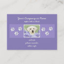 Recherche de extracteur cartes visite Chiot