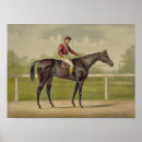 Zoek naar ras paarden posters Paardensport