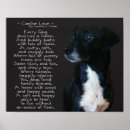 Zoek naar oude hond posters Hondenliefhebber