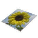 Recherche de sunflower carreaux Fleurs