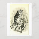 Recherche de illustration de chien cartes postales Dessin