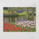 Recherche de european cartes postales Nature