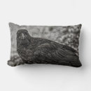 Recherche de le corbeau coussins Plumes