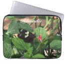 Recherche de photos de papillon coques Floral