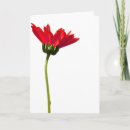 Recherche de floral toutes vœux cartes Toute personne