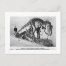 Recherche de squelette de dinosaure posters Paléontologie