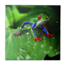 Recherche de exotique carreaux Feuille