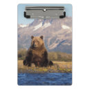 Recherche de ours brun porte blocs Alaska