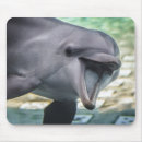 Recherche de dauphin mignon tapis souris Vie marine