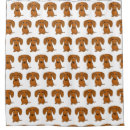 Recherche de saucisse Doxie