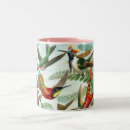 Recherche de ernst haeckel tasses Cru