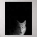 Zoek naar zwarte witte wolf posters Zwart wit
