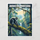 Recherche de antananarivo madagascar cartes postales Faune