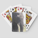 Zoek naar elephant speelkaarten Poker