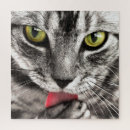 Recherche de visages puzzles Chat