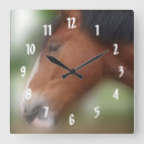 Recherche de bayer horloges Animal