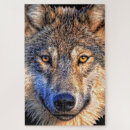 Recherche de visage loup puzzles Sauvage