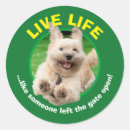 Zoek naar baarden stickers Schattig
