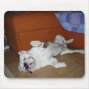 Recherche de canapé tapis souris Sommeil