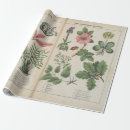 Recherche de reproduction papier cadeau Vintage