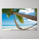 Recherche de palmiers posters Plage