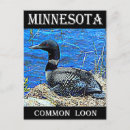 Recherche de symbole américain cartes postales Oiseau